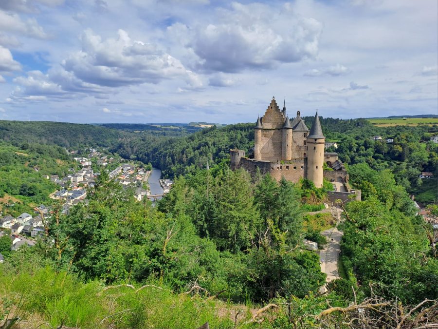 WhatsApp Image 2025-11-11 at 15.41.07