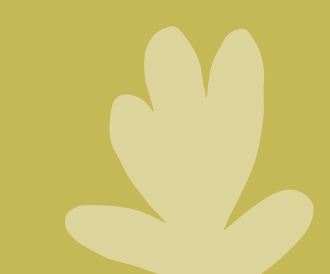 Nature and sustainability