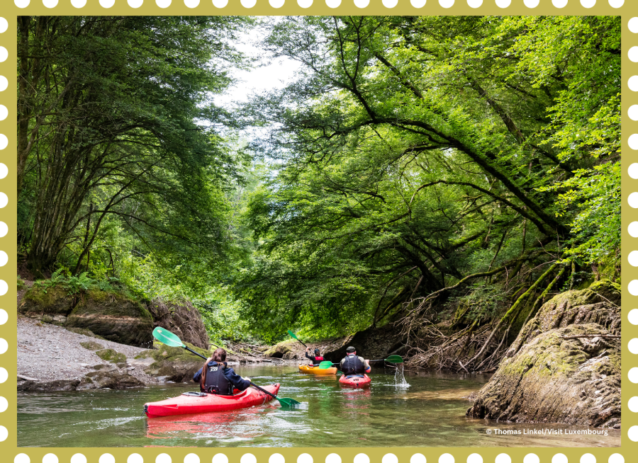 MTE - Site - Visuels (27)