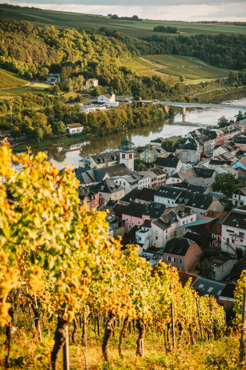 A local’s guide<br><em>to Luxembourg</em>