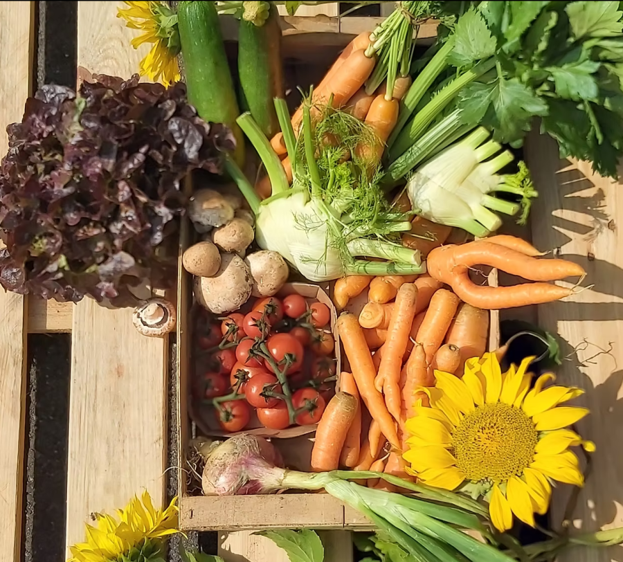 Farm to table<br><em>cooking session</em>