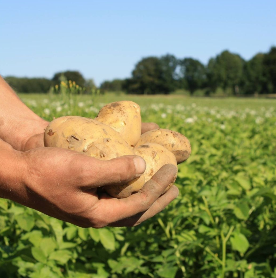 Screenshot 2025-12-08 172536