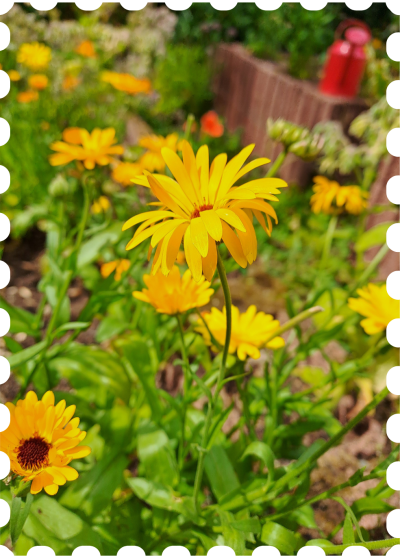 MTE - Site - Visuels (43)