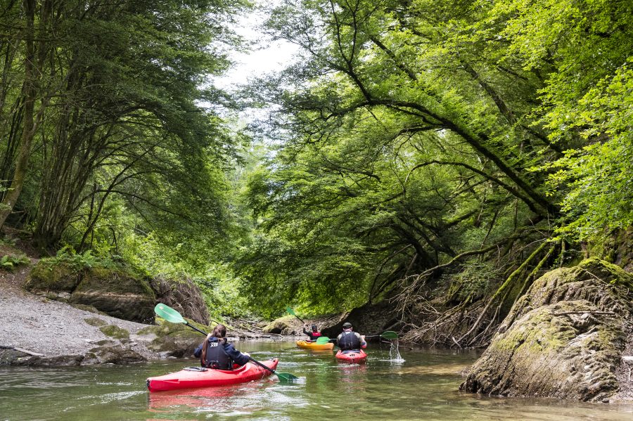 Watersports_Upper-SûreLake_Lultzhausen_47©LFT_ThomasLinkel